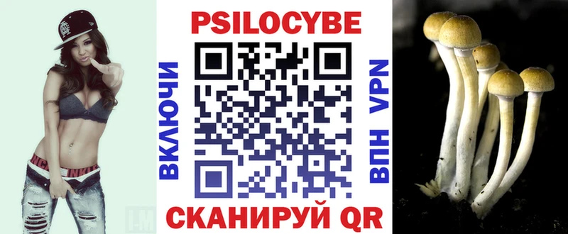 Псилоцибиновые грибы Psilocybe  как найти наркотики  Рыбное 
